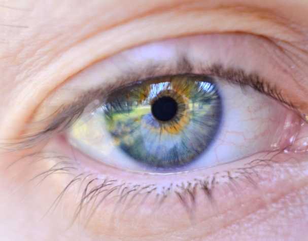 胞磷膽堿的作用機制 胞磷膽堿的作用機制