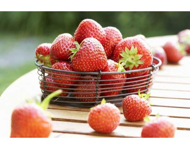 在維持果實營養(yǎng)品質(zhì)方面,谷胱甘肽表現(xiàn)突出 在維持果實營養(yǎng)品質(zhì)方面,谷胱甘肽表現(xiàn)突出