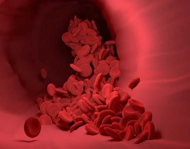 代謝吸收更具優(yōu)勢