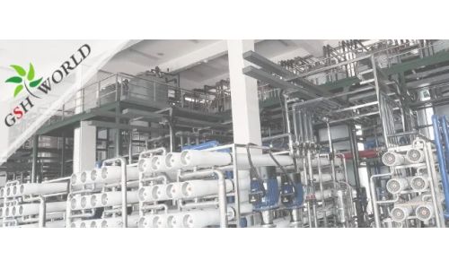 企業(yè)動(dòng)態(tài) - 安慶市區(qū)領(lǐng)導(dǎo)對(duì)古特生物的生產(chǎn)發(fā)展給予充分肯定