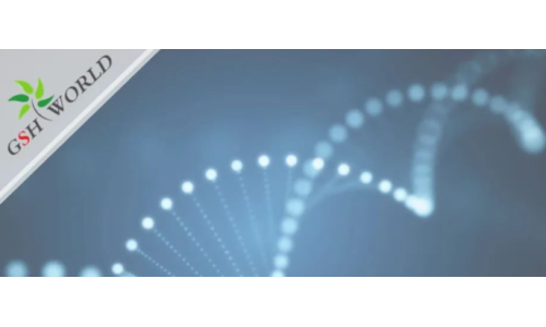 行業關注 - 胞磷膽堿保護大腦的7大好處