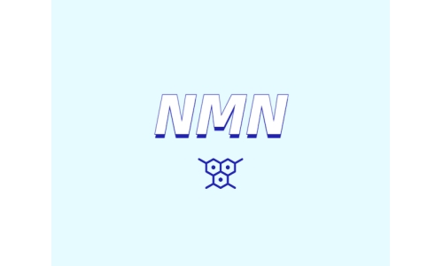 NMN對人體有什么潛在效果？