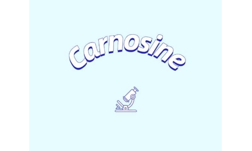 肌肽補充劑或可改善年輕群體認(rèn)知