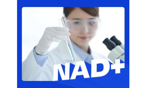 補NAD+，選對才有效