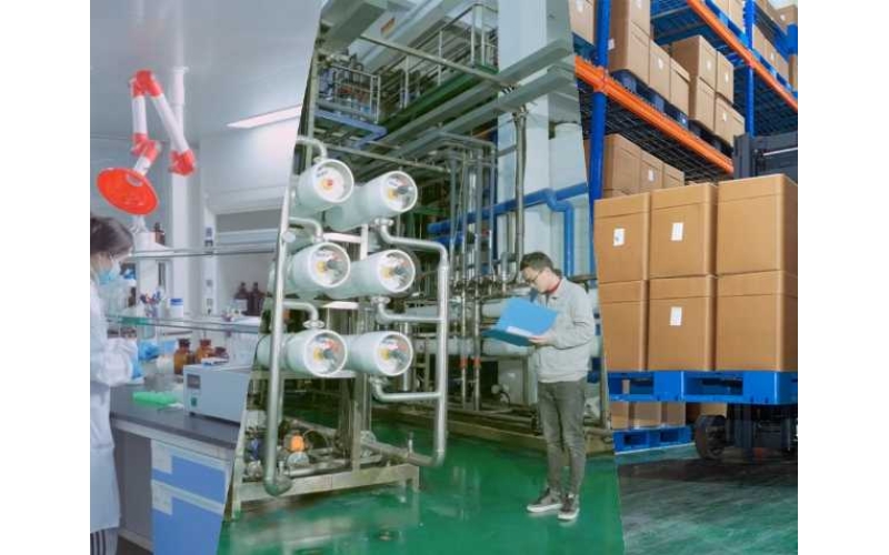 酶法催化賦能：古特生物技術創新與產業化實踐